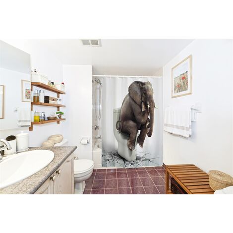 Nettoyer la douche — Éléphant Maison