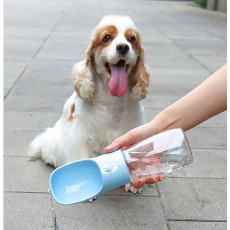 Gourde pour chien avec bol intégré 500 ml - ZÉRO GASPILLAGE