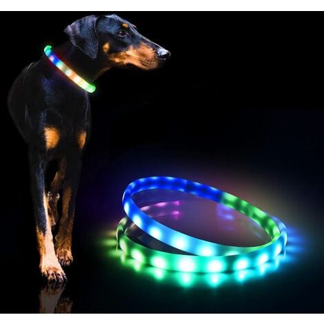 Acheter Collier LED pour chien, Rechargeable par USB, étanche, pour la  marche nocturne, lumineux, haute visibilité, lumineux, Anti-perte