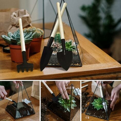 Outils de jardinage - Ensemble d'outils succulents, Mini ensemble d'outils  à main de jardin pour