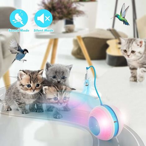 Robot LED interactif à plumes pour chats - Petits Compagnons