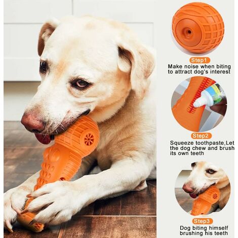 Jouet couineur pour chien en forme de crocodile, jouet interactif en  caoutchouc durable, jouet de dressage pour chien, jouet à mâcher, jouet de