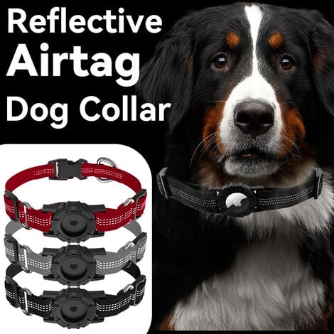 Collier pour chien AirTag réfléchissant, compatible avec Apple AirTag,  collier pour chiot en nylon avec support AirTag en silicone pour petits  chiens de taille moyenne, M, noir