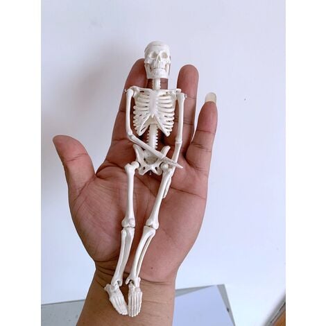 Mini Squelette Jouet Minuscule Modèle Squelette avec Crâne