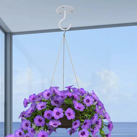 Cintre de plante suspendu mural de 6 pouces Cintre de plante suspendu en  métal lourd adapté aux paniers de fleurs