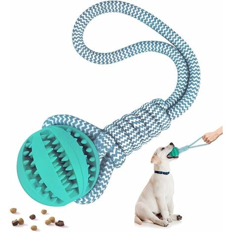 Jouet chien caoutchouc balle avec corde