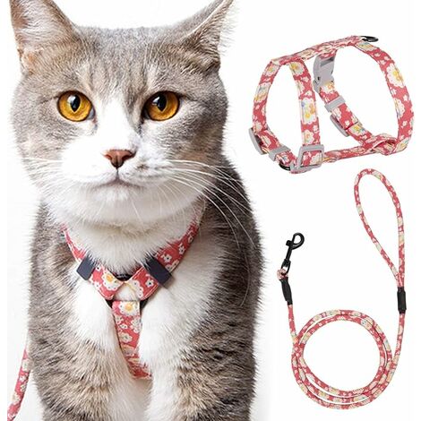 Comment choisir un harnais pour chat ? - Médaille Chien Chat