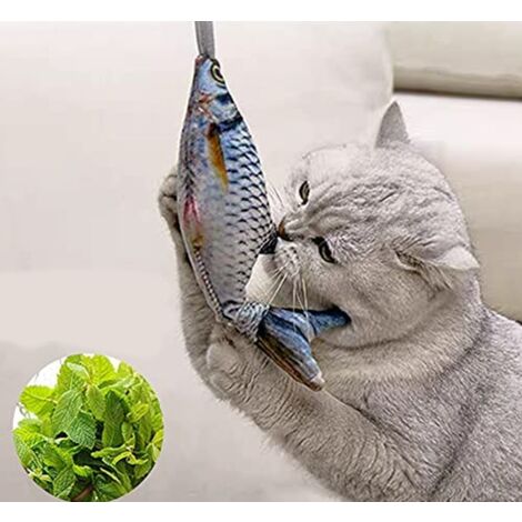 Jouet pour chat poisson flottant avec herbe à chat, jouet pour