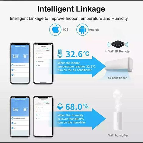 Thermomètre hygromètre WiFi intelligent, capteur de température et  d’humidité intérieur/extérieur Bluetooth, application thermomètre WiFi  Alexa/Google