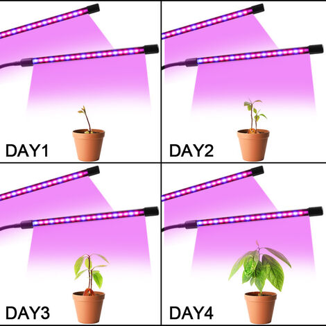 Acheter LED élèvent la lumière spectre complet Phyto poussent la lampe USB  Phytolamp pour les plantes 5V lampe pour l'éclairage de croissance des  plantes pour les plantes d'intérieur