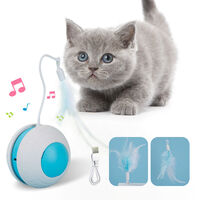 Jouet électronique Intelligent pour chat, robot interactif avec plumes  rotatives, mode intelligent, faible bruit, USB, automatique - AliExpress