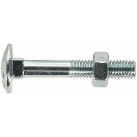 Pack Zinc Plated Coach Bolt And Nut M X Mm Mm Pitch Din