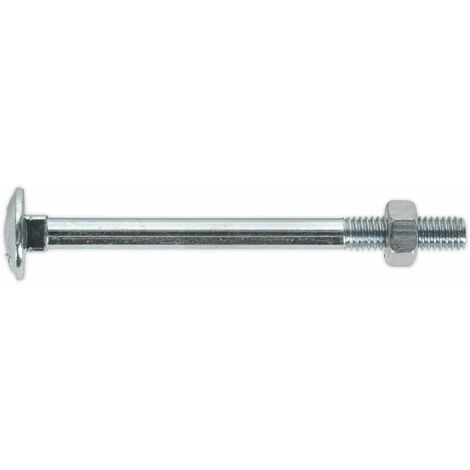 Pack Zinc Plated Coach Bolt And Nut M X Mm Mm Pitch Din