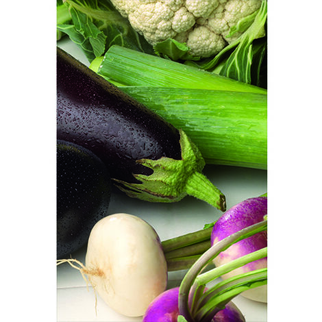 Sticker réfrigérateur et lave vaisselle, légumes fraîcheur cuisine déco, 75 cm X 49 cm (1/4)
