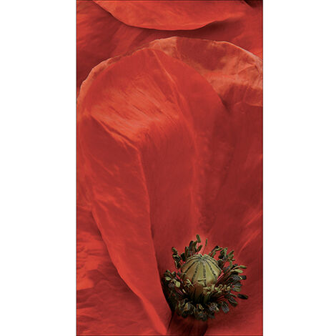 Sticker réfrigérateur et lave vaisselle, coquelicot passion beauté naturelle jardin enchanté déco, 180 cm X 100 cm (1/4)
