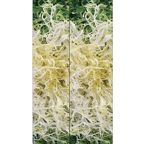Sticker réfrigérateur et lave vaisselle, salade éclatante fraîcheur quotidienne bien-être naturel déco, 180 cm X 100 cm (1/4)