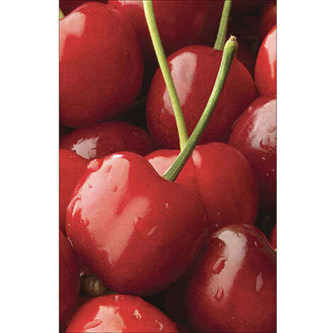 Sticker réfrigérateur et lave vaisselle, cerises douceur fruitée déco, 75 cm X 49 cm (1/4)