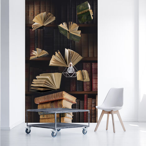 Papier peint intissé vintage, bibliothèque ancienne, 250 cm X 150 cm, motif panoramique. (1/2)