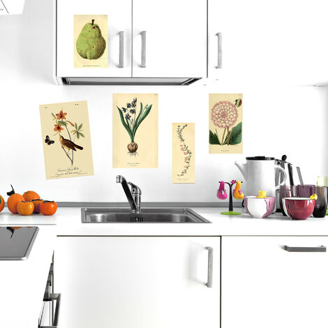 Sticker Autocollant Décoratif 68x48cm - Illustration Botanique Style Carte Ancienne - Décoration Murale Intérieure pour Maison et Bureau (1/2)