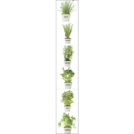 Stickers adhésifs aromatiques 15x15cm pour carrelage mural - Lavable et réutilisable