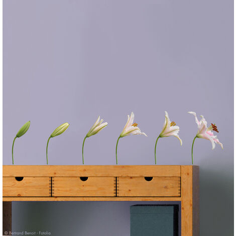 Sticker Autocollant Fleur de Lys, 6 tiges de l'éclosion à la floraison, 68x48cm, Décoration Murale Intérieure (1/2)