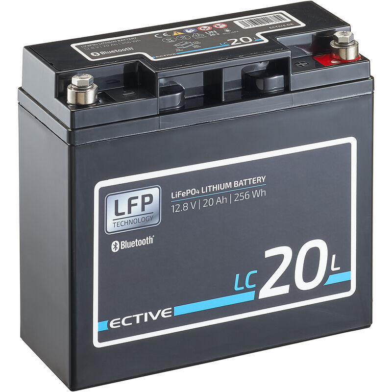 ECTIVE 12V 20Ah LiFePo4 Solar Batterie Lithium Akku BMS Wohnmobil