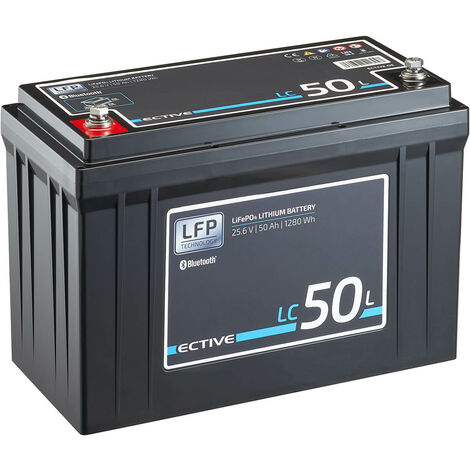 LiTime LiFePO4 Akku 24V 100Ah Lithium Batterie 100A BMS für Solar Wohnmobil
