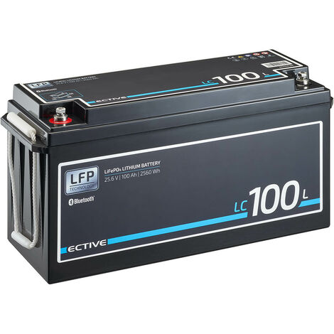 ECTIVE 24V 100Ah LiFePo4 Solar Batterie Lithium Akku BMS Wohnmobil Camper  LFP BT Versorgungsbatterie