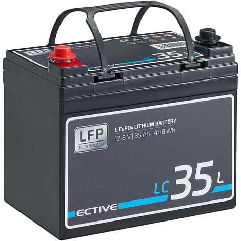 LiFePO4 Batterie/Akku für Wohnmobil Wohnwagen Camping RV Boot