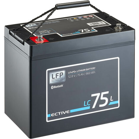 LiFePO4 Batterie 80Ah 12,8V für Photovoltaik Camper boot