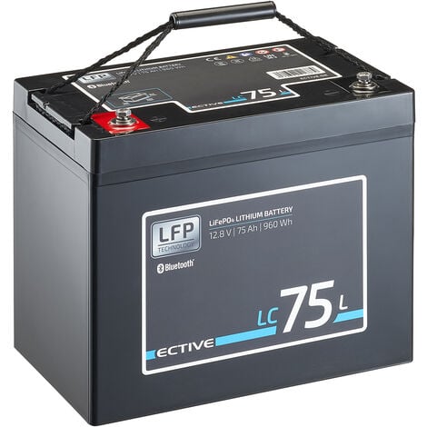 ECTIVE 12V 75Ah LiFePo4 Solar Batterie Lithium Akku BMS Wohnmobil