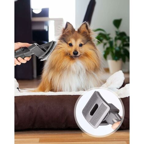 Outil de toilettage pour animaux de compagnie pour Dyson V7 V8 V10 V11  Aspirateur, brosse Accessoire d’aspirateur pour chien à poil moyen ou long  et