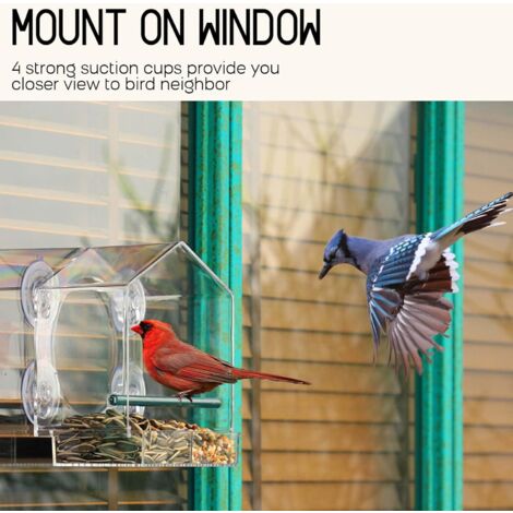 Mangeoire à Oiseaux pour Fenêtres, Mangeoire Oiseaux Exterieur pour Oiseaux Sauvages