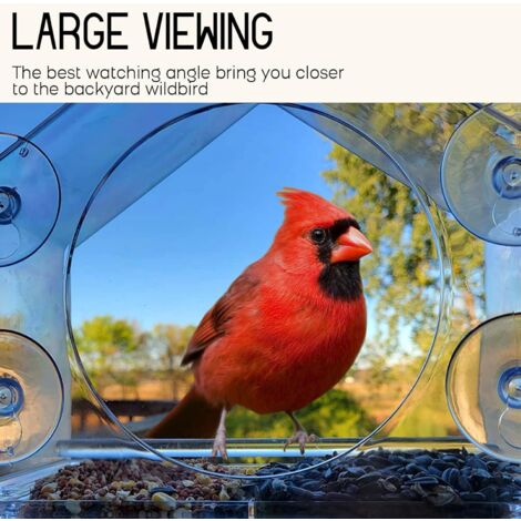 Mangeoire à Oiseaux pour Fenêtres, Mangeoire Oiseaux Exterieur pour Oiseaux Sauvages