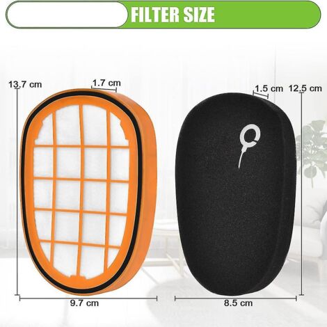 Filtre Moteur Pour Philips SpeedPro Max XC7042/01 - Kit 2 Filtres - Neuf Original