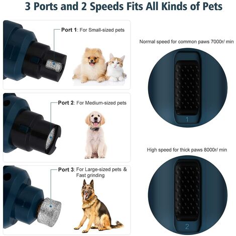 Coupe-griffes Chien Chat Avec LED Et Lime - Sécurisé, Piège à Ongles | Pour Petites Et Moyennes Races