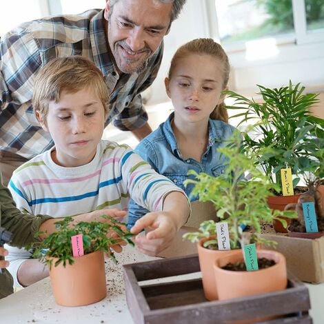 Étiquette plastique étanche pour plantes de jardin, étiquette