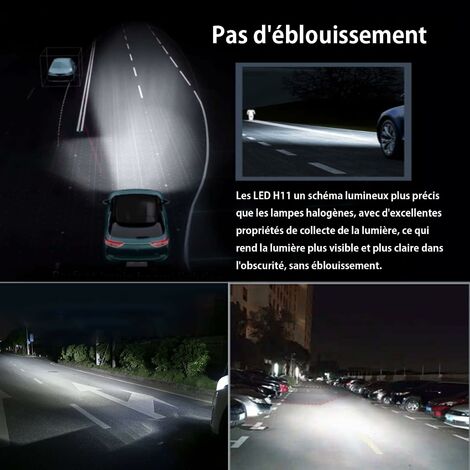 Ampoules LED H11 H8 H9 6500K Blanc Froid - Kit 2 Phares Voiture 12V 24V
