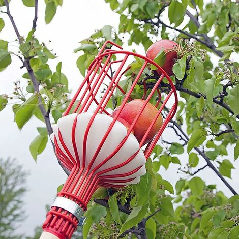 Cueille-fruits Réglable 4m Avec Poteau Inox Et Sac Tissu - Pour Pommes, Poires, Cerises, Etc. (diamètre 15 Cm)