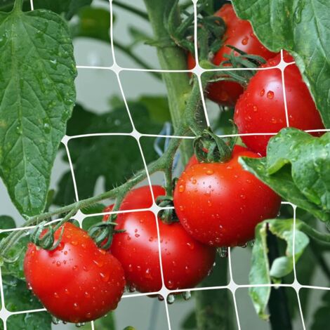 Rete Per Arrampicata Verde 2x3,5m – Maglie 10x10cm – Per Cetrioli, Pomodori E Piante Rampicanti