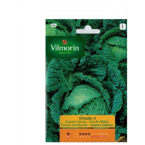 ColМБn ColМБn Seeds 4 Vilmorin 6G (1/2)