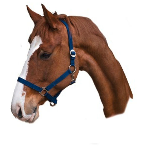 Fischietto Da Arbitro Classic Erima - Senza Pallina, Suono Forte E Penetrante - Foto 4