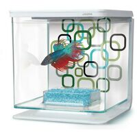 Marina Betta Kit - Geo Bubbles