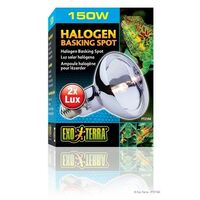 Spot di crogiolo alogeno Exo Terra 150 W