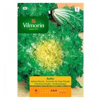 Vilmorin Escarola Seeds Ruffec S-1 902, oltre 8 gr