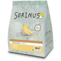 Manutenzione gialla Serinus 0,35 kg