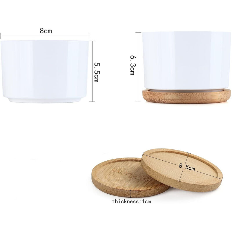 XUDREZ Set Di 4 Vasi In Ceramica Per Pi Grasse 7,5 Cm Con Vassoio In Bambù - Stile Nordico