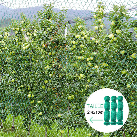 TMFsode Confezione Da 2 Reti Protettive Per Alberi Da Frutto 1,8x1,8m - Con Cerniera E Coulisse - Proteggi Pomodori, Verdure E Fiori Da Insetti E Uccelli - 2
