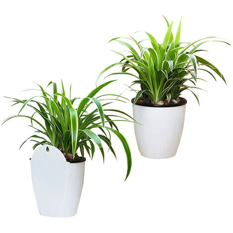 UKCOCO Fioriera Da Parete In Ceramica Vintage – Vaso Per Pi Grasse, Cactus E Fiori – 13x10x7,5 Cm, Foro Per Sospensione