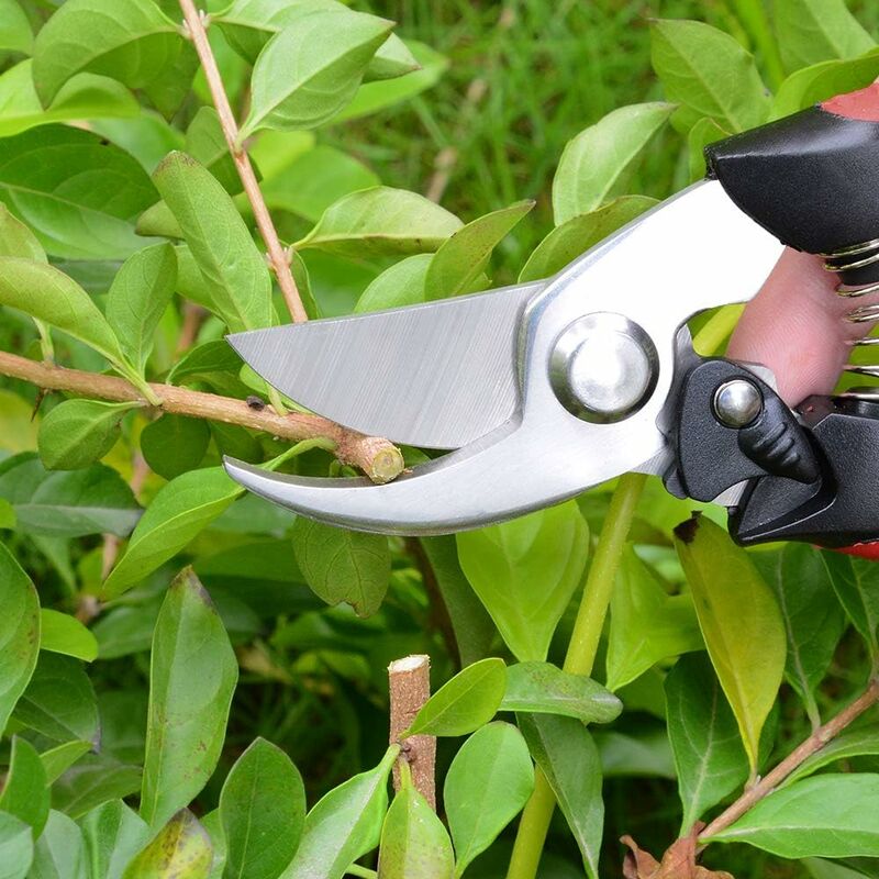 GDRHVFD Garden pruner set, professional bypass hand pruning shears flower  scissors hedge shears for lawn and garden work, stainless steel spring lock  - 3 pieces